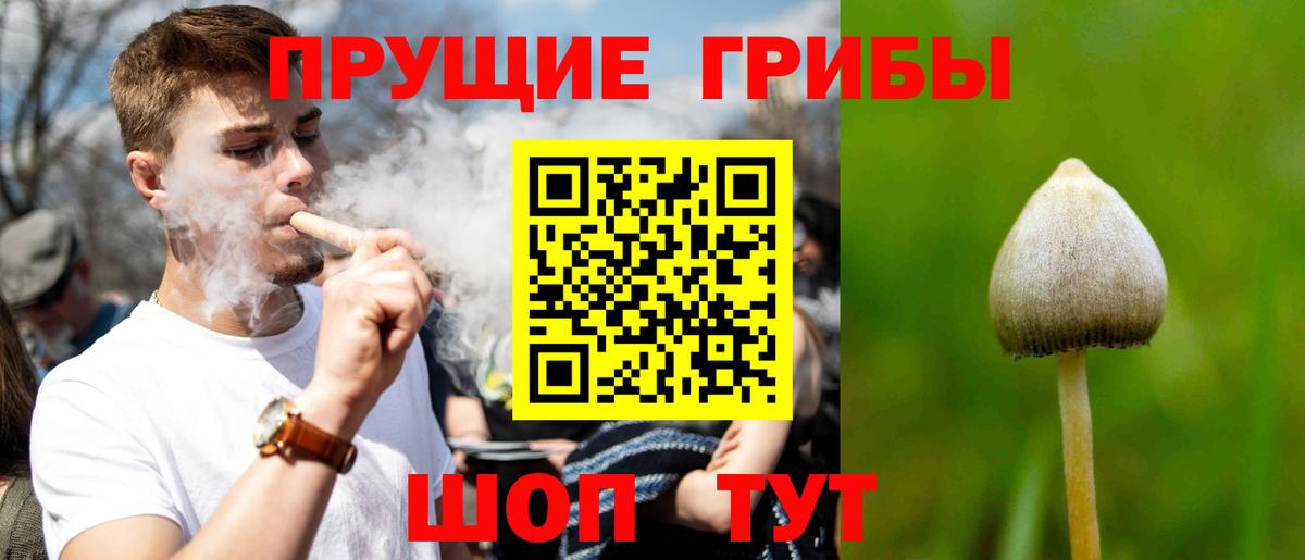Горячий Ключ  Галлюциногенные грибы Cubensis  Вход с VPN 